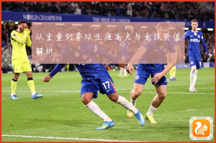 从金童到拳坛生涯高光与竞技价值解析